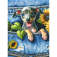 Animal Text Series-AT 2375